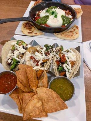 Butternut Squash , Kale , & Pepita Tacos  HARISSA SHAKSHUKA