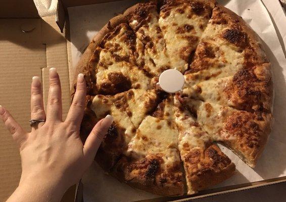 Smallest "large" pizza I've ever seen in my life. Paid $16 for this.