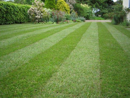 Lawn striping anyone?