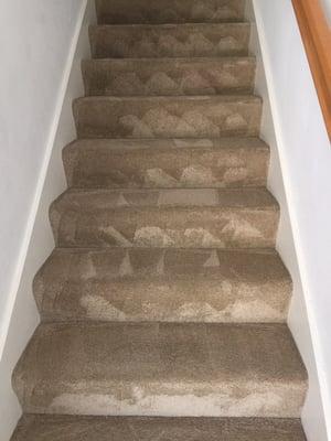 They left the stairs looking like new!