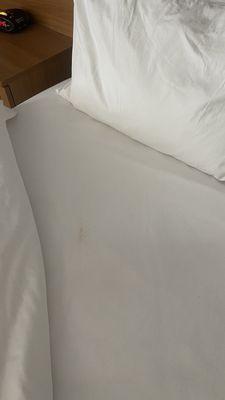 Proof that our bedsheets were not being changed!! That stained was there since the 2nd week of our stay. Same bed sheets for about 4 weeks