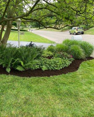 Let's bring your yard up to its full potential!