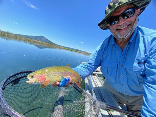 This Fall River trout looks a bit porky to me - don't you think?