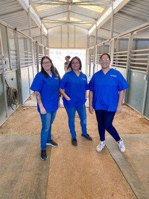 Veterinary Assistants training at Celebrity Ranch