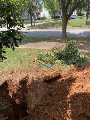 The tree in front of our house, raised up the sidewalk and got underneath our water pipe. Approx 47 inches deep.