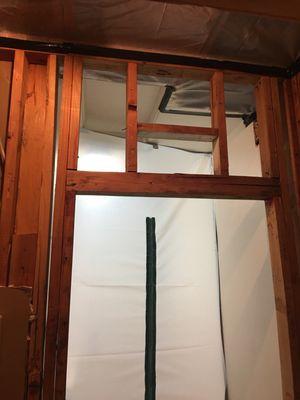 Mold abatement project