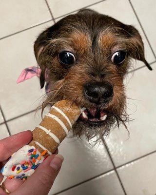 One of the cookies sold at Lucky Puppy. Two Paws Up!