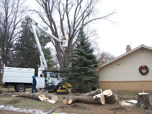 Removing some limbs that were hanging out over the house.