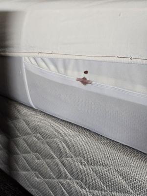 Blood on mattress