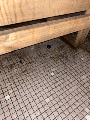 Pictures of the steam room floor literally covered in dirt and sweat from a month of not being cleaned