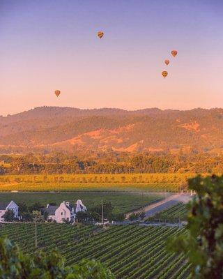 Chimney Rock Winery