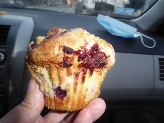 Wild berry muffin with blueberries and very fresh raspberries.