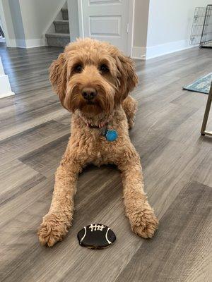 Football cookie for fall