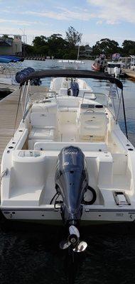 Cobia dual console