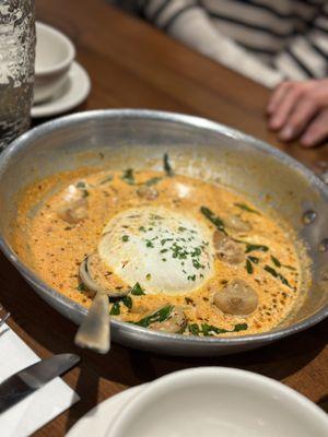 Buratta appetizer - tomato cream sauce, roasted garlic