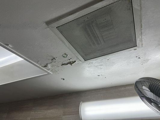 Shower ceiling rot/leak