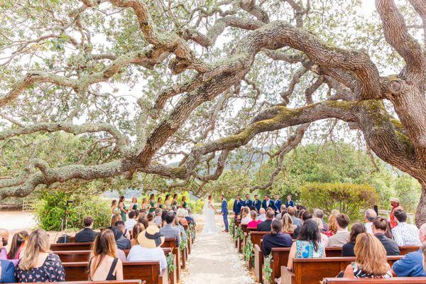 Lovely ceremony under the expansive oak tree up on the hill.