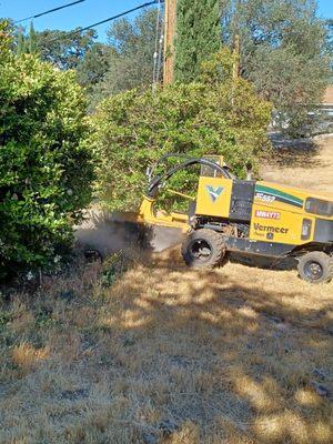 Stump grinding machine