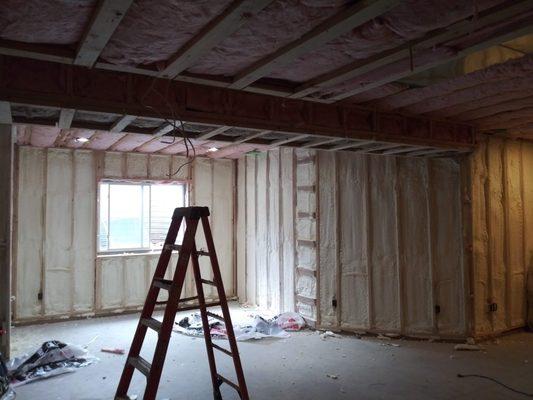 Spray Foam Insulation