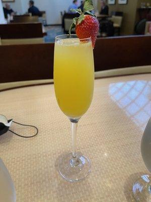 Mimosa