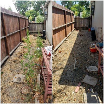 Before/ After Cleanup back yard in Redwood City