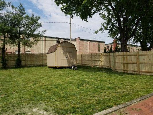 Veterans Tree & Fence