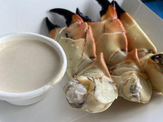 Stone crab