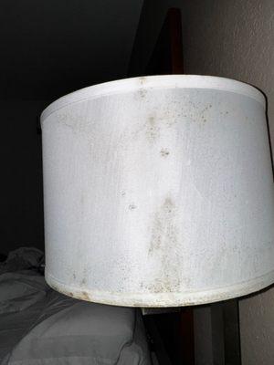 moldy lampshades