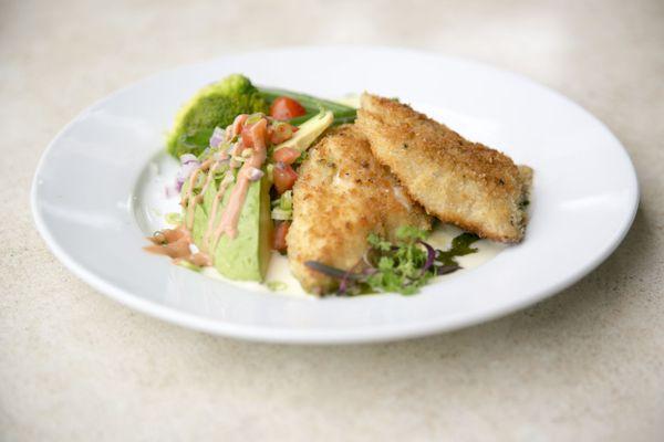 A Parmesan Crusted Red Snapper served on citris buer blanc and pesto basil sauce