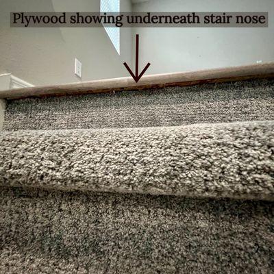 Plywood showing under stairs