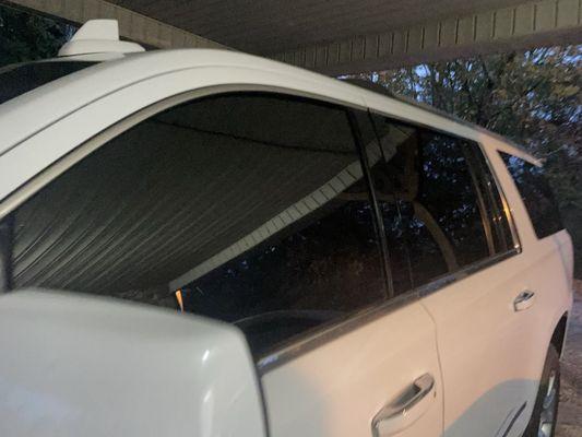 Action Window Tinting