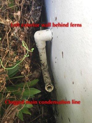 Clooged main condensation line.