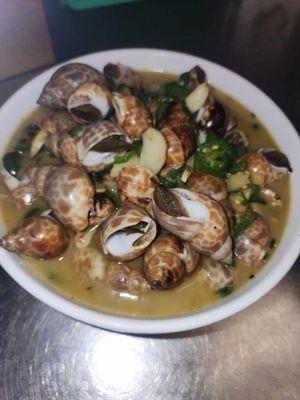 Spicy chilli with sea snail