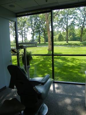 View from one of our treatment rooms