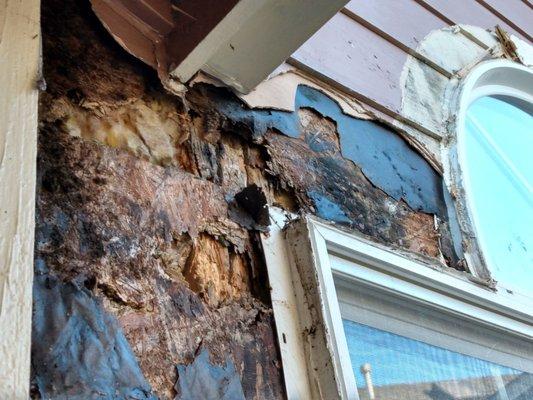 Wood rot due to Harbour Homes "commitment to quality".