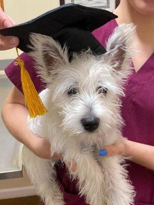 Baxter graduated from his puppy vaccines today!