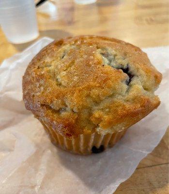 Blueberry Muffin