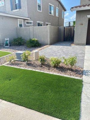 Synthetic turf and plant install