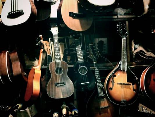 A wall of guitars in the back of the shop.