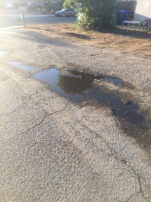 My driveway with dirty polluted water. Courtesy of National Carpet & Steam Clean (619)8521157 Ask for Fred