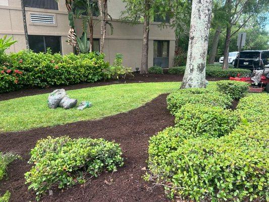 Commercial Landscaping