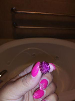 Flower in my bath bomb!