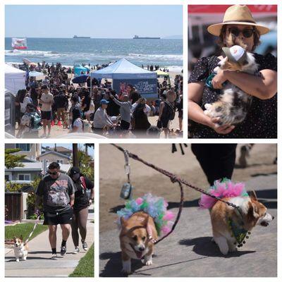 2024 So Cal Beach Corgi Day