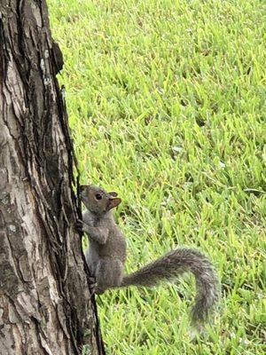 Park resident.