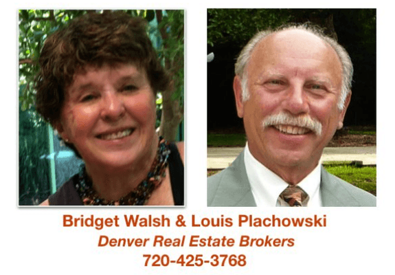 Bridget & Louis
Experienced, Reliable  Real Estate Brokers