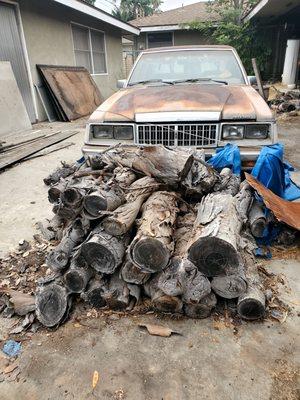 Termited wood piles