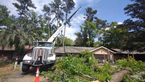 They have there own crane to get bk yard trees picked up and piled in front