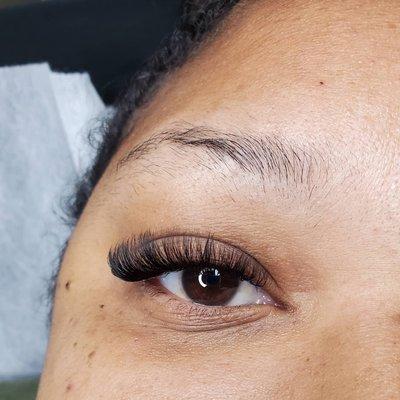 Volume lashes