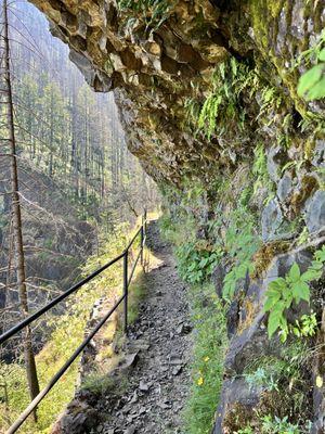 Upper McCord Creek Falls Trail