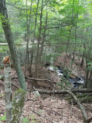 Bridge/upper falls